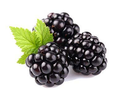 Agricultural products gallery - Verdoliva brand fresh produce