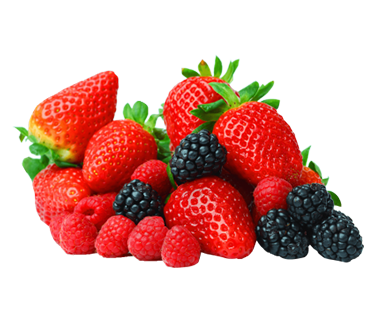 Export-ready fresh and frozen fruits and vegetables from Egypt